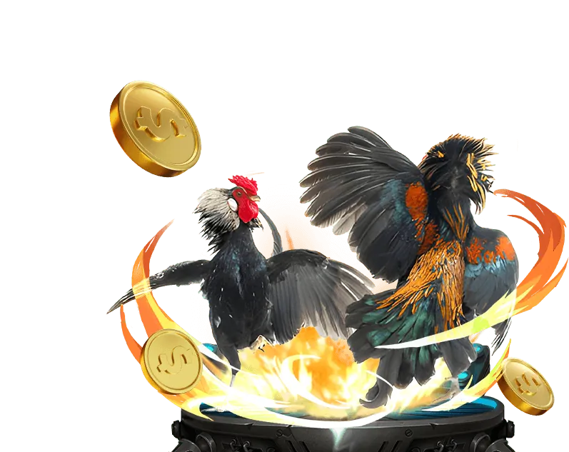 Ưu Đãi Tiền Thưởng và Hoàn Trả Cao Cấp